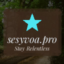 sesyvoa.pro